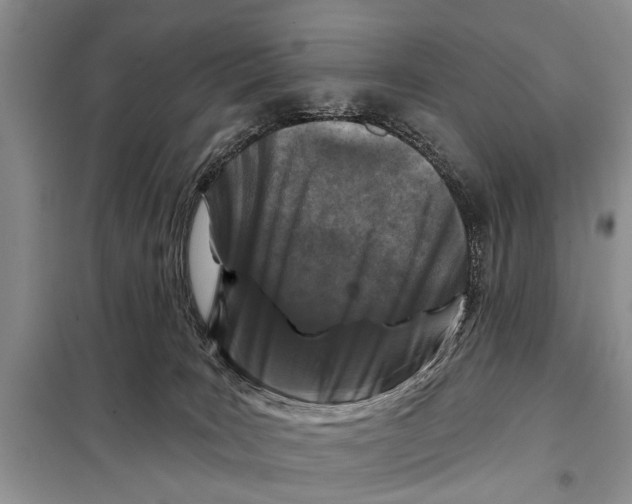X0000097870035200804110935