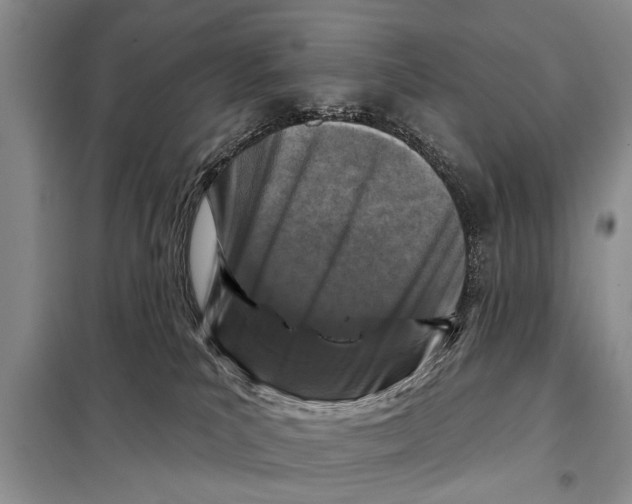 X0000097870039200804110935