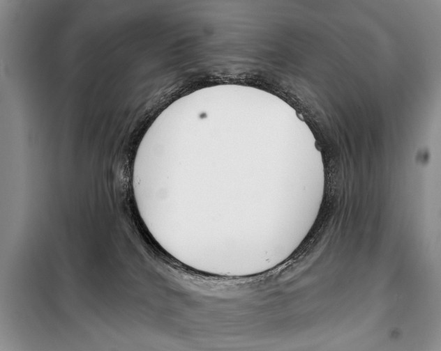 X0000097870040200804110935