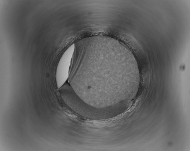 X0000097870041200804110935