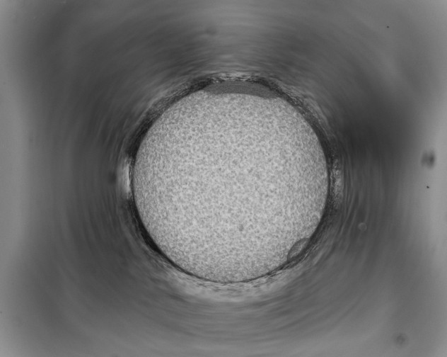 X0000097870042200804110935
