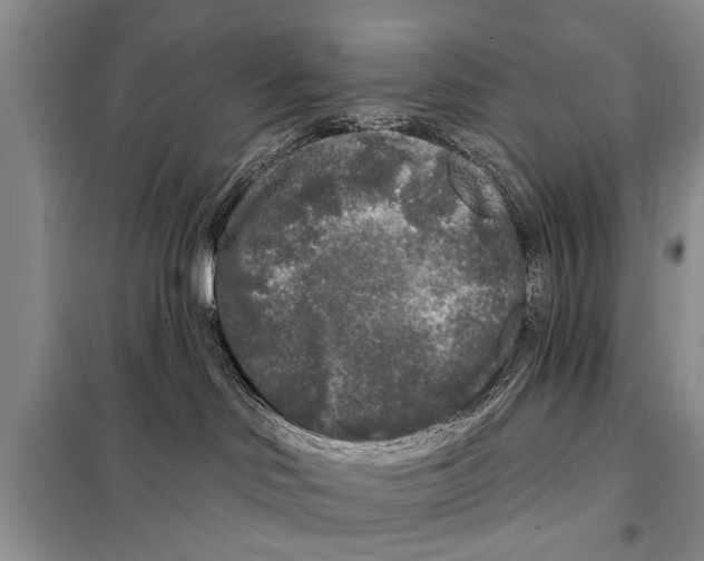 X0000097870046200804110935
