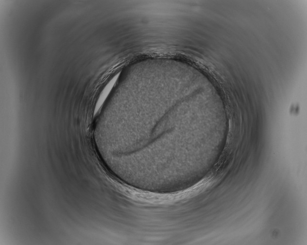 X0000097870048200804110935