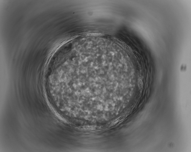 X0000097870049200804110934