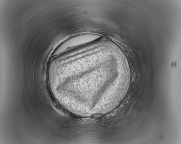 X0000097870050200804110934