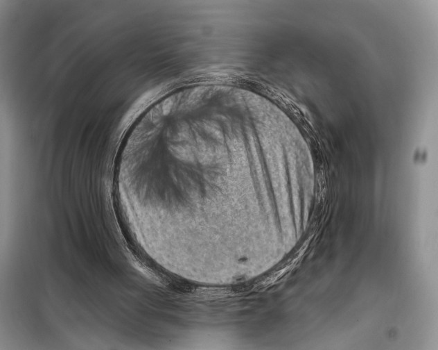 X0000097870051200804110934