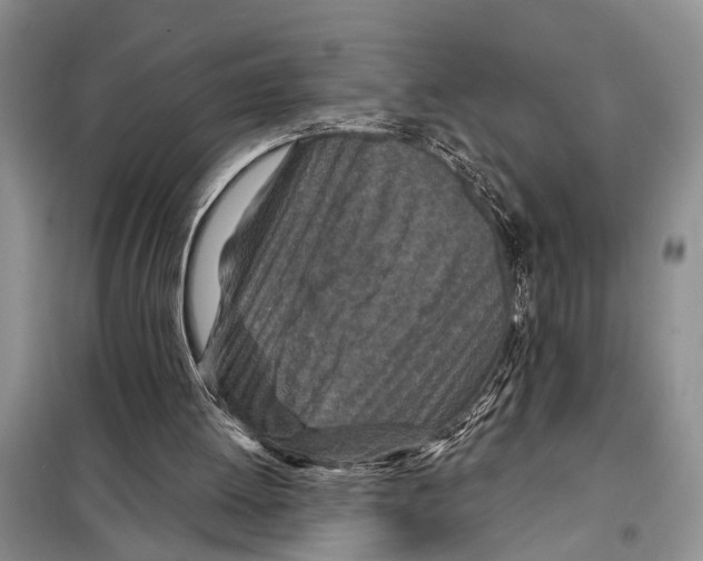 X0000097870052200804110934