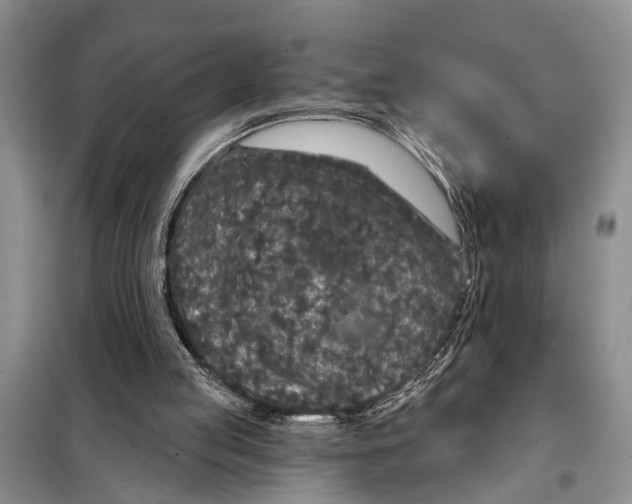 X0000097870053200804110934
