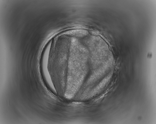 X0000097870055200804110934