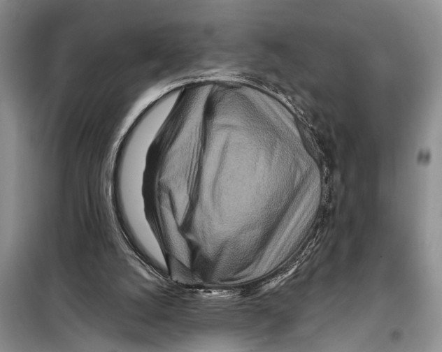 X0000097870056200804110934