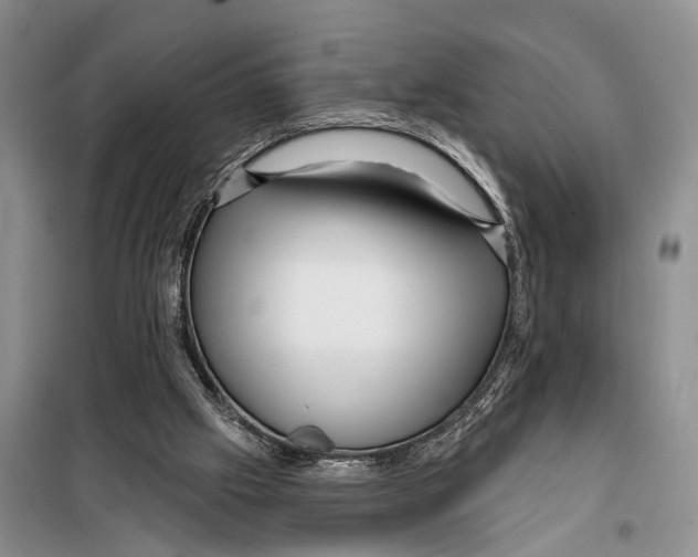 X0000097870057200804110934