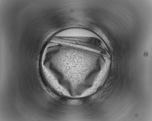 X0000097870058200804110934