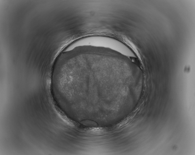 X0000097870059200804110934