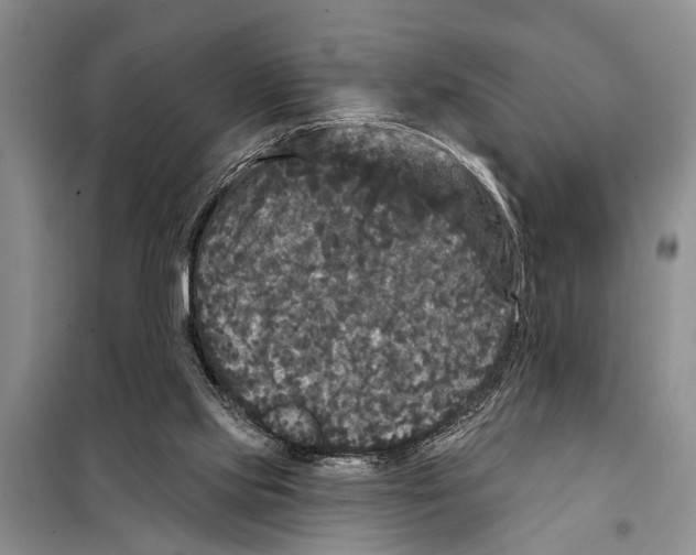 X0000097870061200804110934