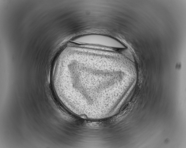 X0000097870062200804110934