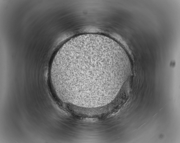 X0000097870063200804110934