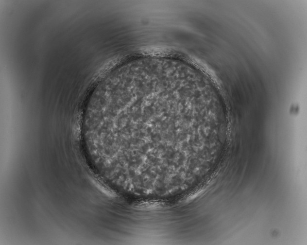 X0000097870065200804110934