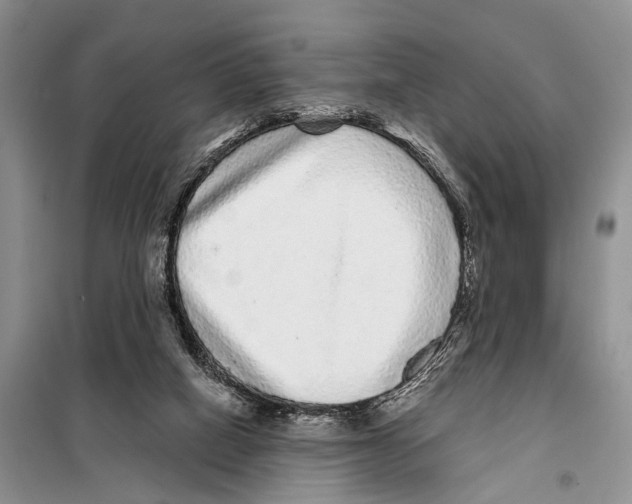 X0000097870066200804110934