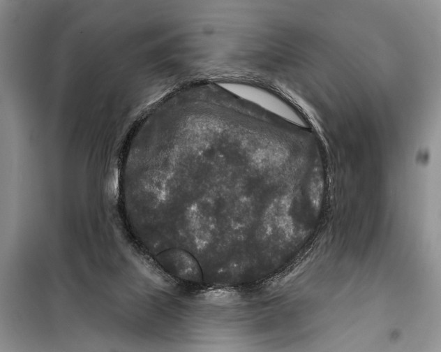 X0000097870067200804110934