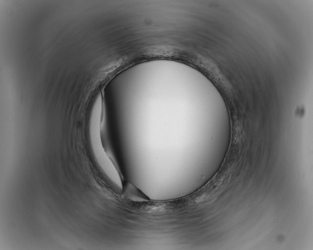 X0000097870068200804110934