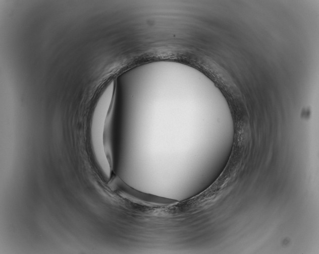 X0000097870072200804110934