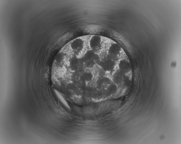 X0000097870073200804110934