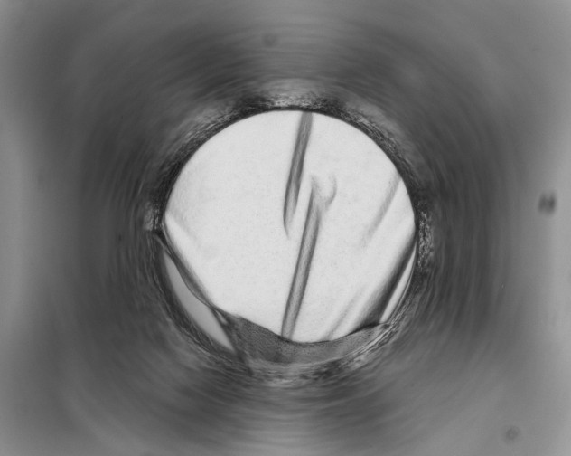 X0000097870074200804110934