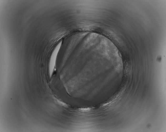 X0000097870076200804110935