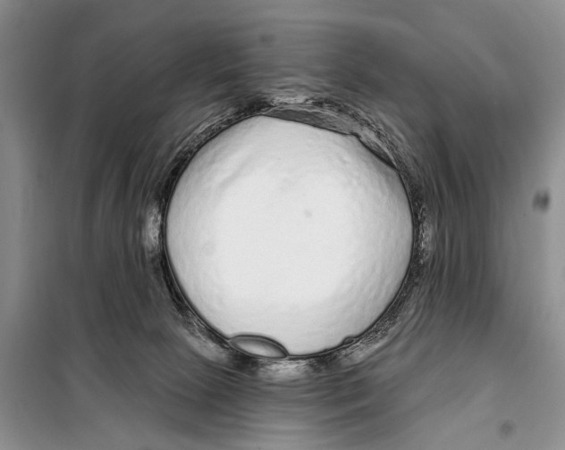 X0000097870081200804110935