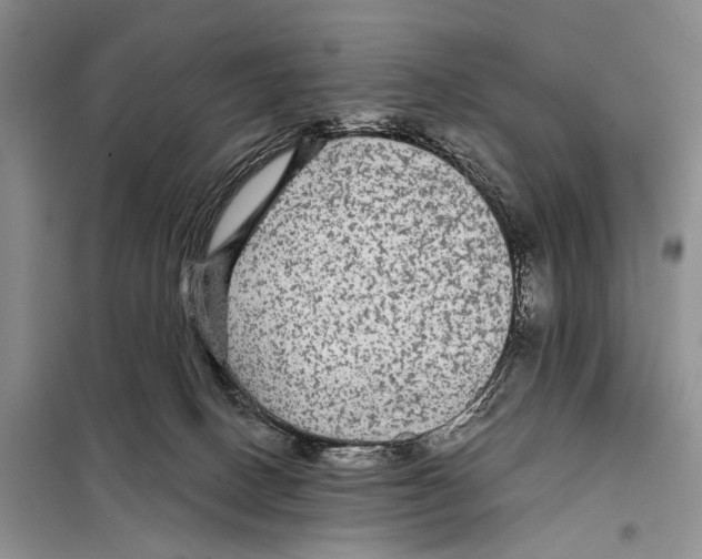 X0000097870082200804110935
