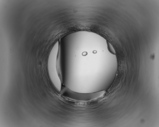 X0000097870084200804110935