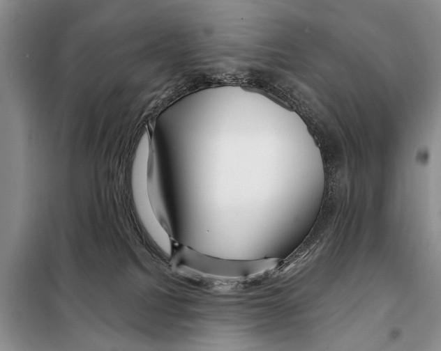 X0000097870088200804110935