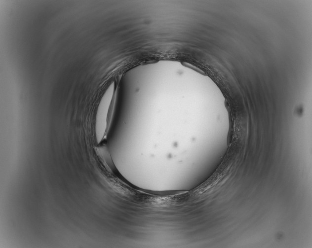 X0000097870092200804110935