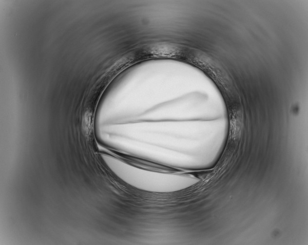 X0000097870093200804110935