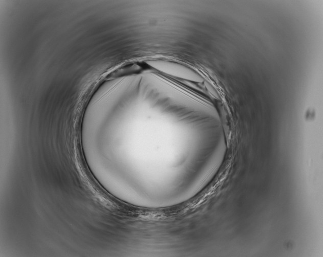 X0000097870097200804110934