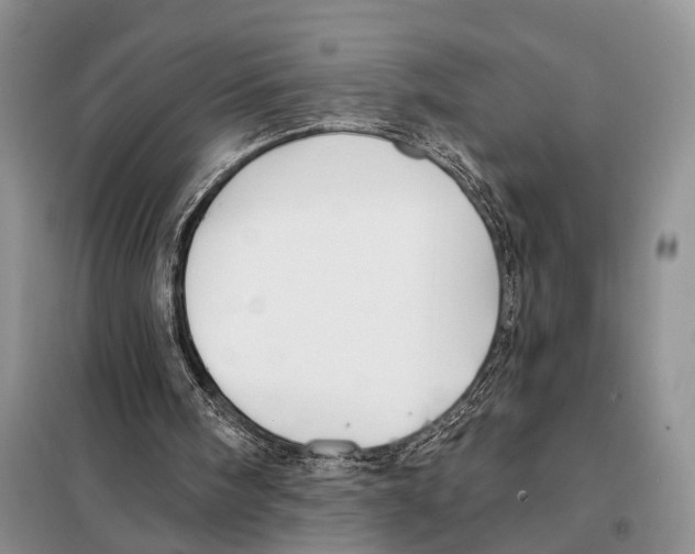 X0000097870098200804110934