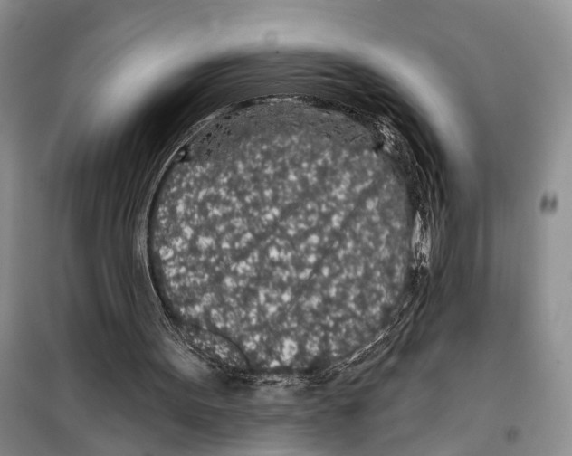 X0000097870099200804110934