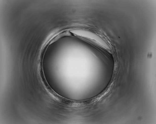 X0000097870101200804110934