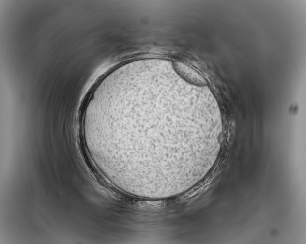 X0000097870102200804110934