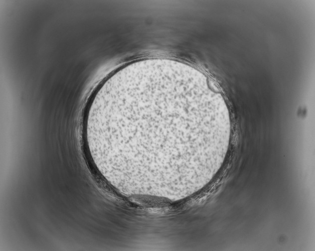 X0000097870103200804110934