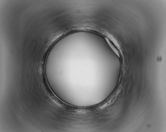 X0000097870105200804110934
