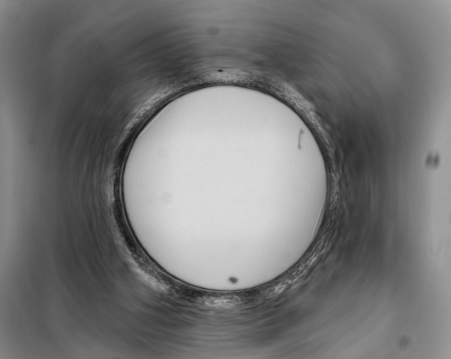 X0000097870106200804110934