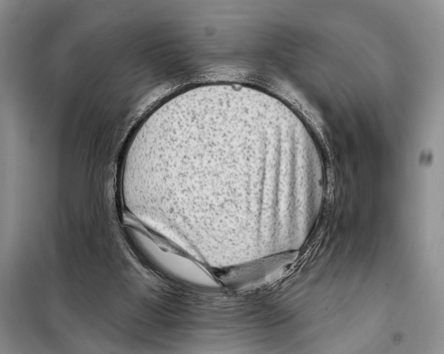 X0000097870107200804110934