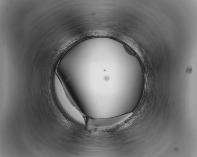 X0000097870109200804110934