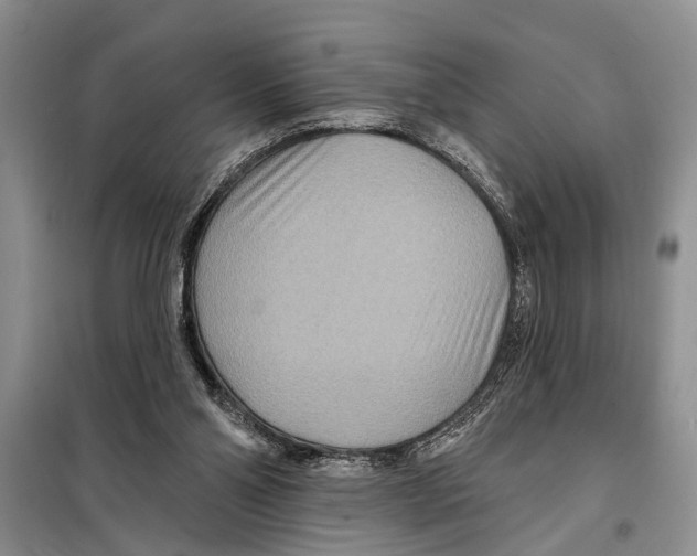 X0000097870110200804110934