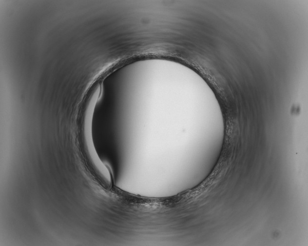 X0000097870112200804110934