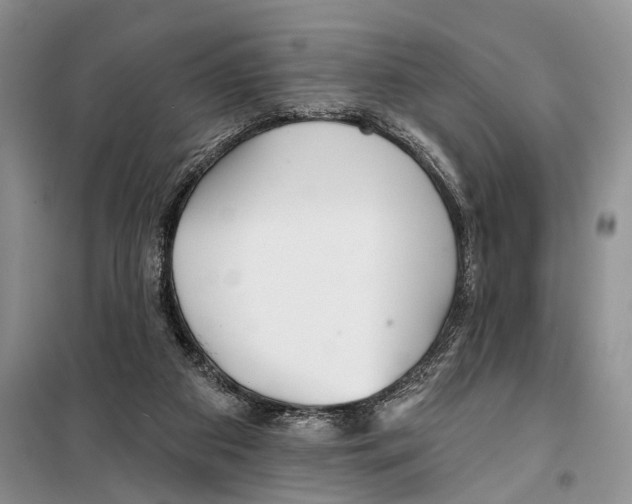 X0000097870113200804110934