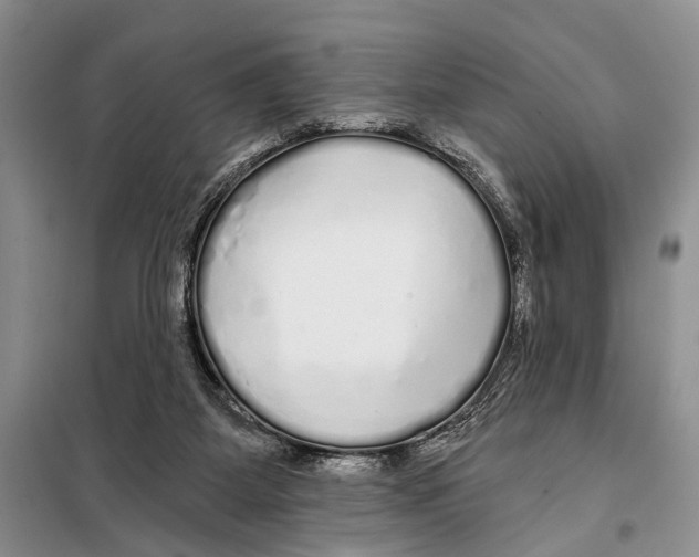 X0000097870115200804110934