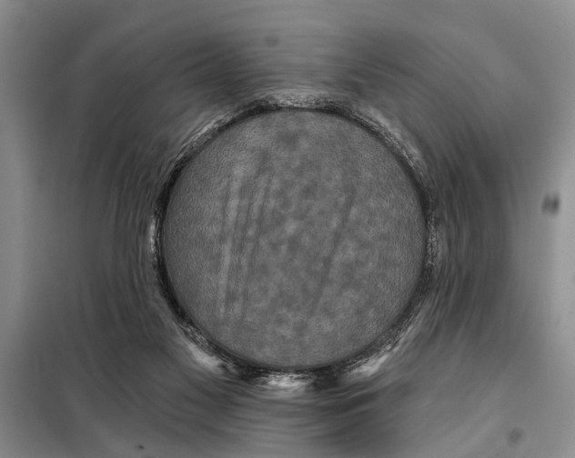 X0000097870117200804110934