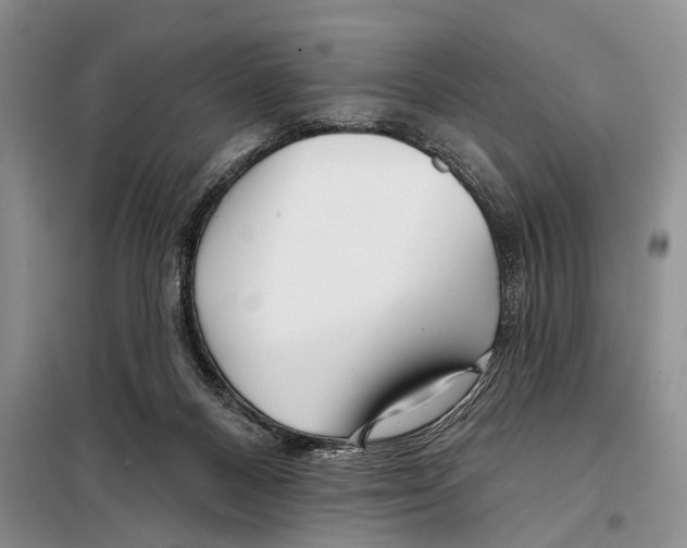 X0000097870120200804110934